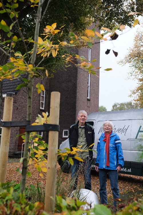 KerkBoom